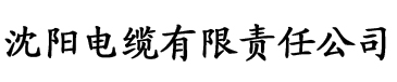 糖心黄色视频电缆厂logo